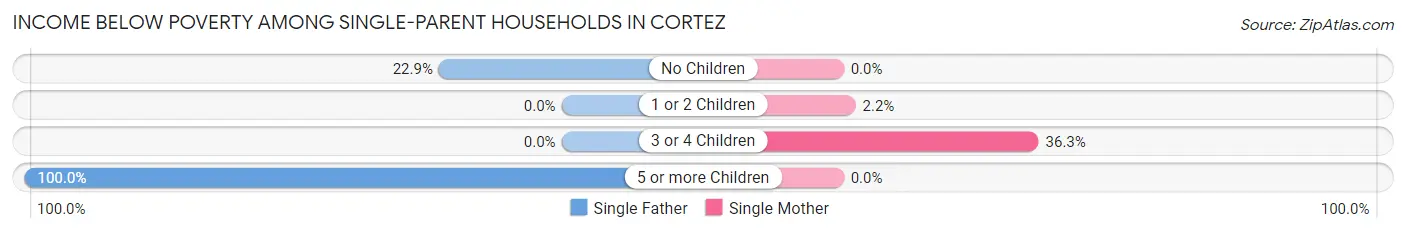 Income Below Poverty Among Single-Parent Households in Cortez