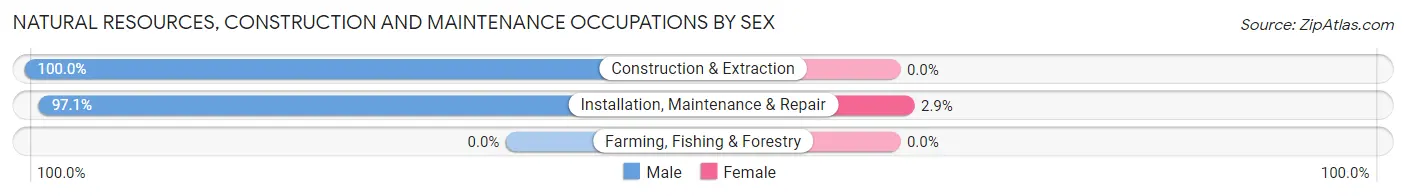 Natural Resources, Construction and Maintenance Occupations by Sex in Craig