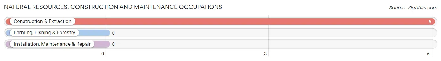 Natural Resources, Construction and Maintenance Occupations in Crestone