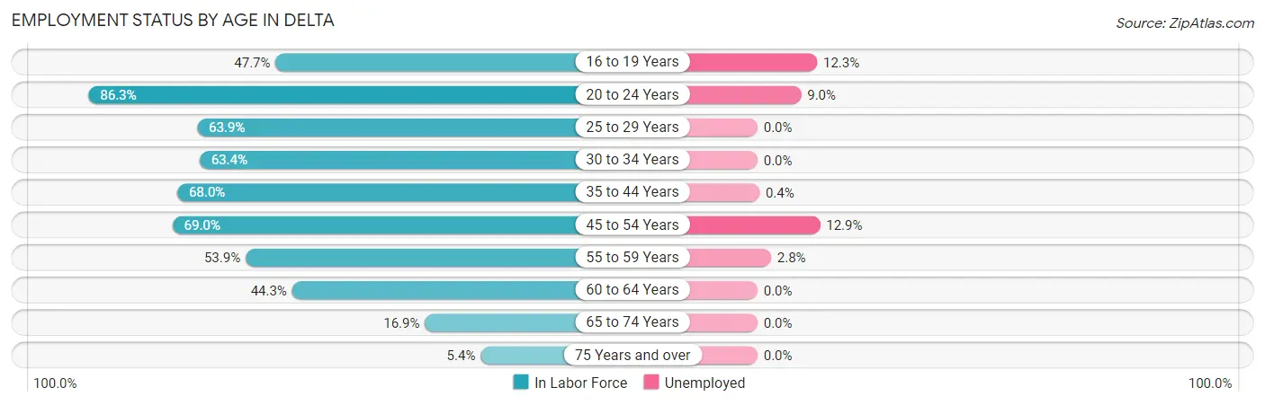 Employment Status by Age in Delta