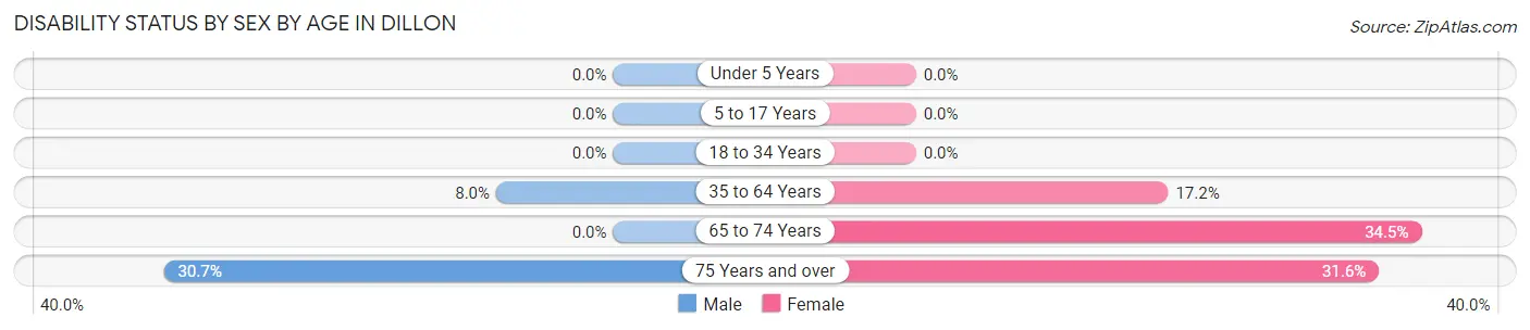 Disability Status by Sex by Age in Dillon