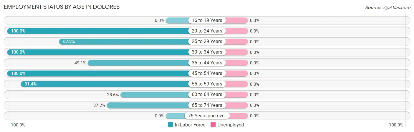 Employment Status by Age in Dolores