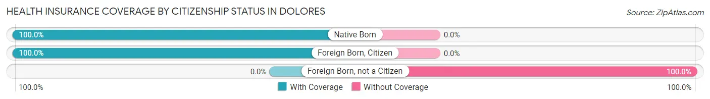 Health Insurance Coverage by Citizenship Status in Dolores