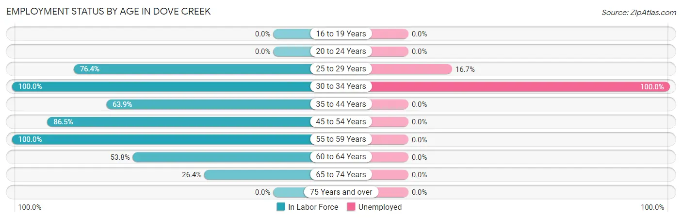 Employment Status by Age in Dove Creek