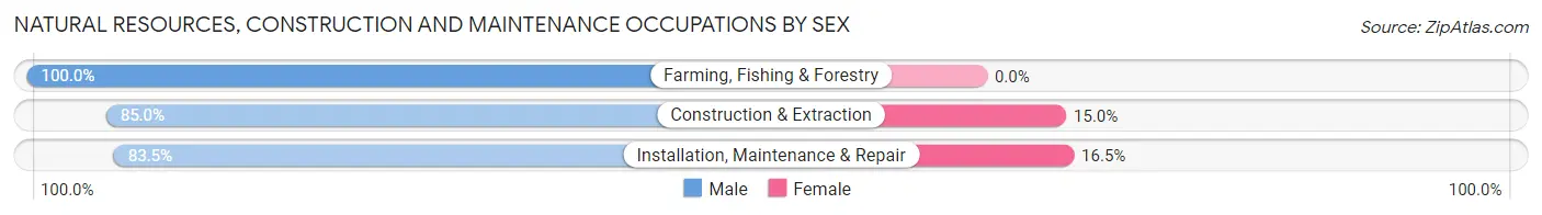 Natural Resources, Construction and Maintenance Occupations by Sex in Durango