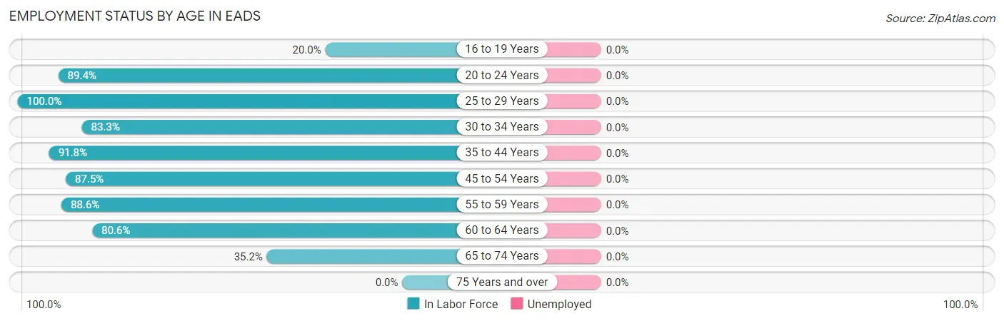 Employment Status by Age in Eads
