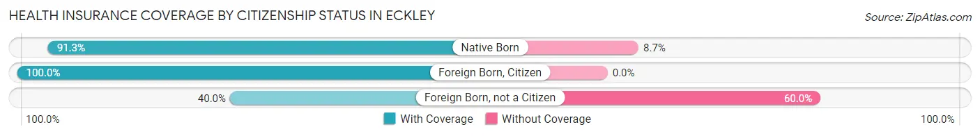 Health Insurance Coverage by Citizenship Status in Eckley