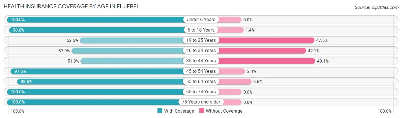 Health Insurance Coverage by Age in El Jebel
