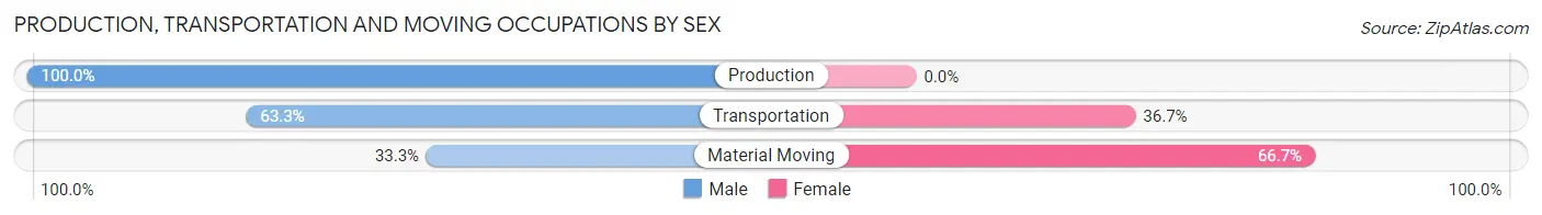 Production, Transportation and Moving Occupations by Sex in Elizabeth
