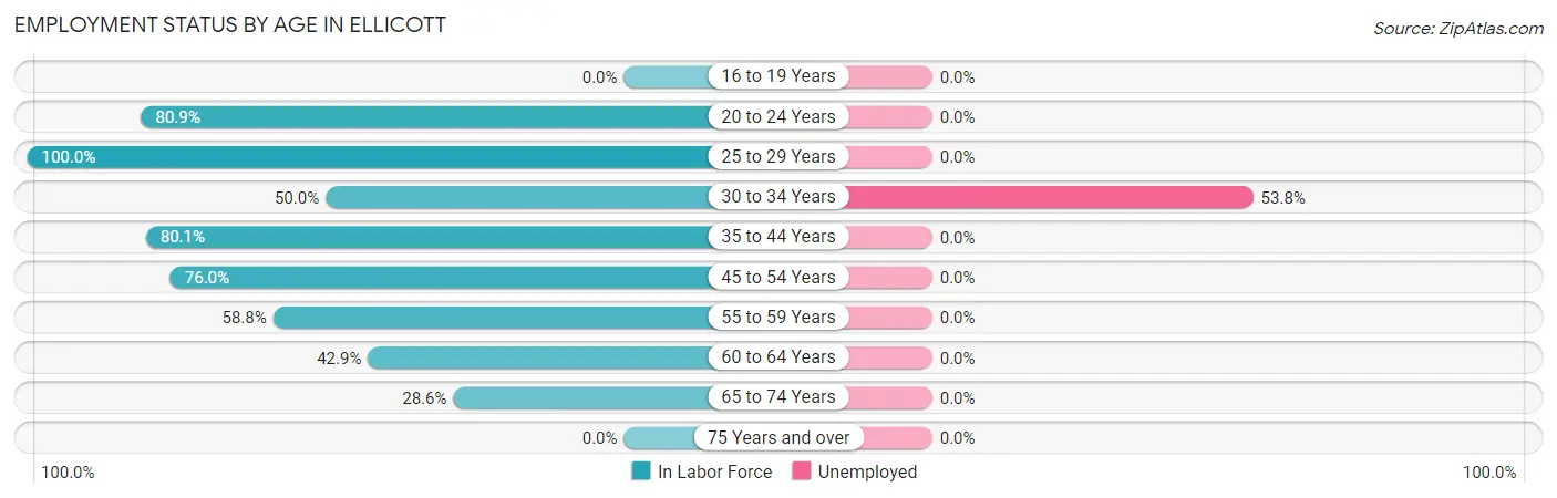 Employment Status by Age in Ellicott