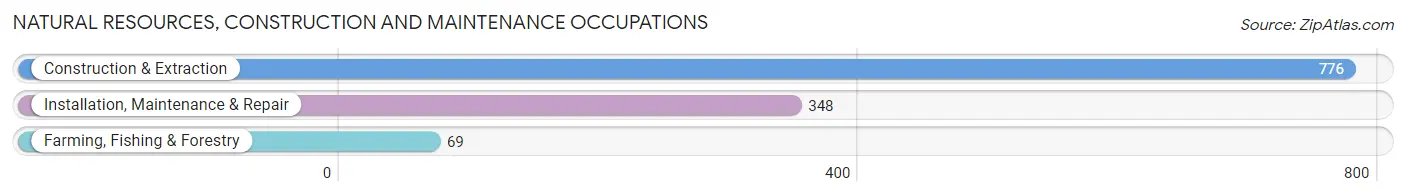 Natural Resources, Construction and Maintenance Occupations in Firestone