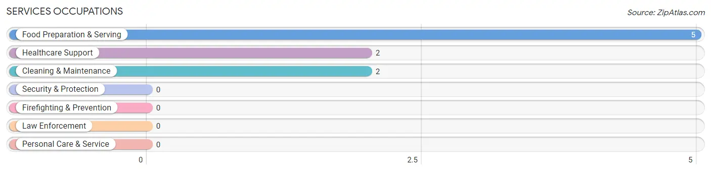 Services Occupations in Flagler