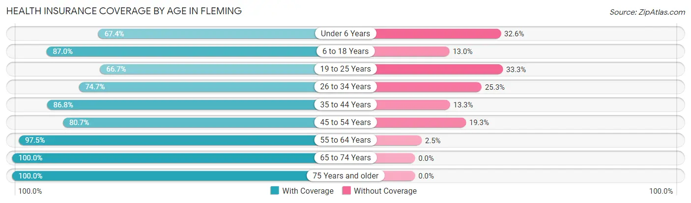 Health Insurance Coverage by Age in Fleming