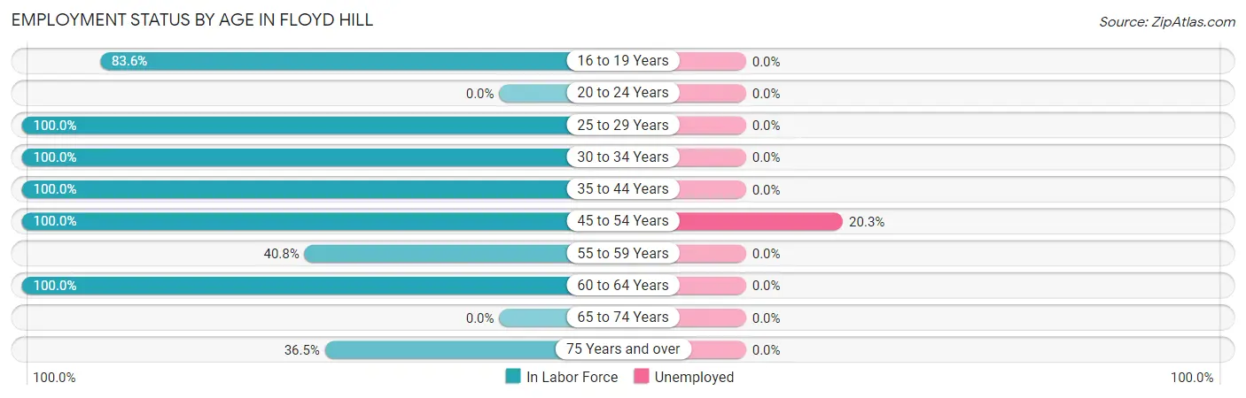 Employment Status by Age in Floyd Hill