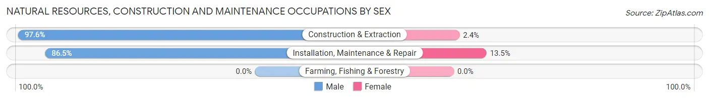 Natural Resources, Construction and Maintenance Occupations by Sex in Fort Lupton