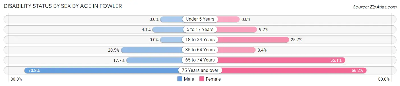Disability Status by Sex by Age in Fowler