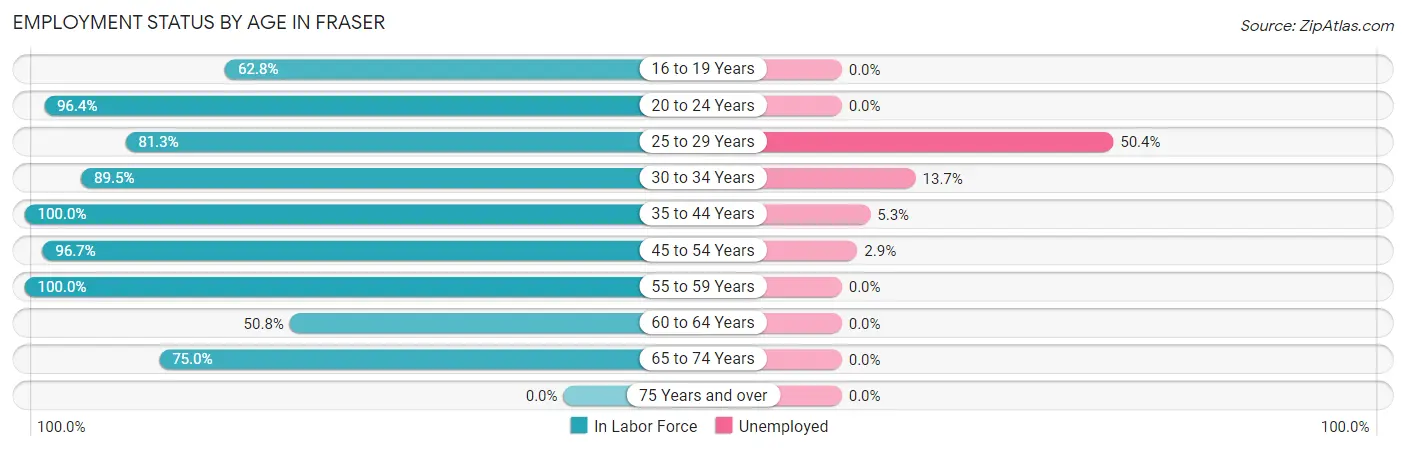 Employment Status by Age in Fraser