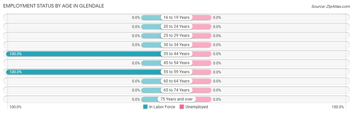 Employment Status by Age in Glendale