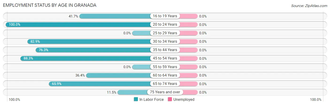 Employment Status by Age in Granada