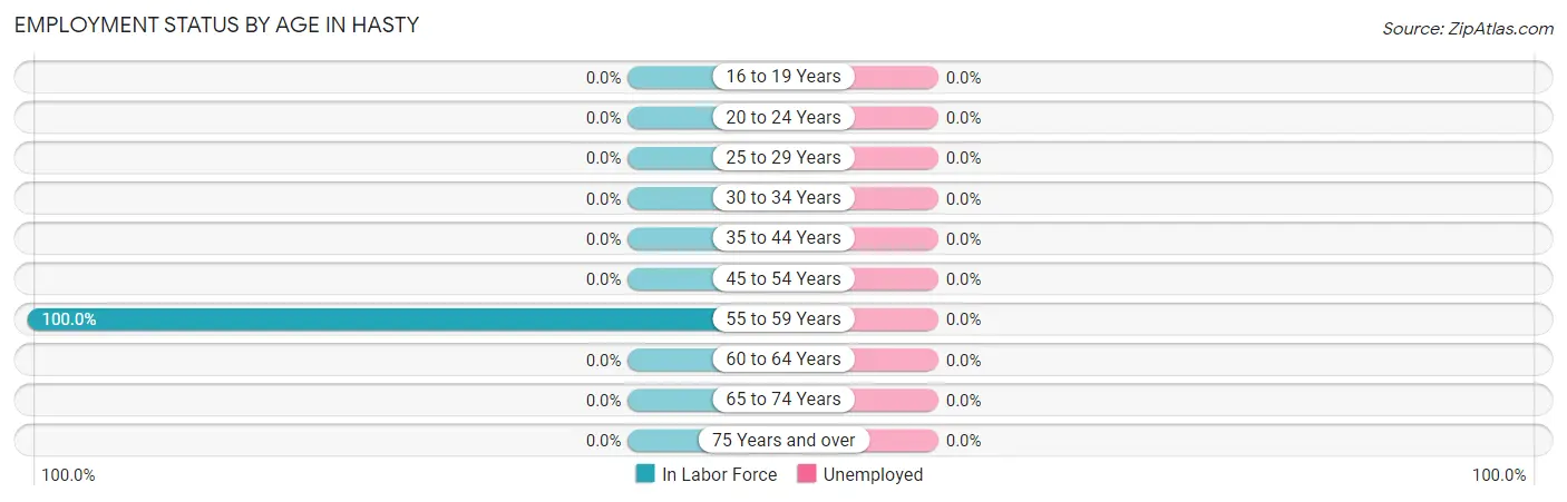 Employment Status by Age in Hasty