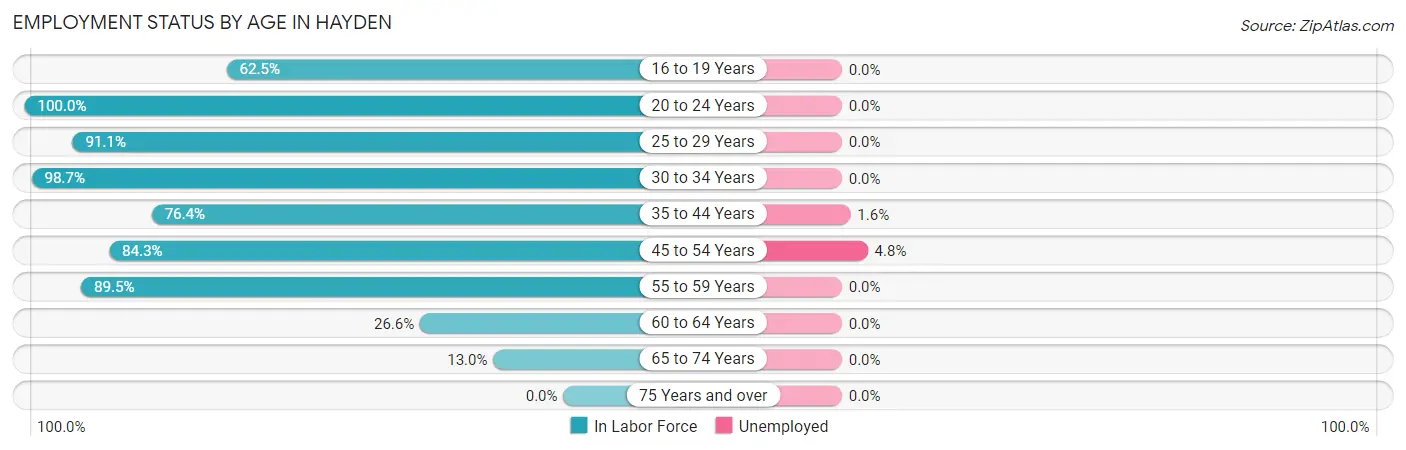 Employment Status by Age in Hayden