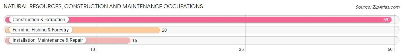 Natural Resources, Construction and Maintenance Occupations in Holly Hills