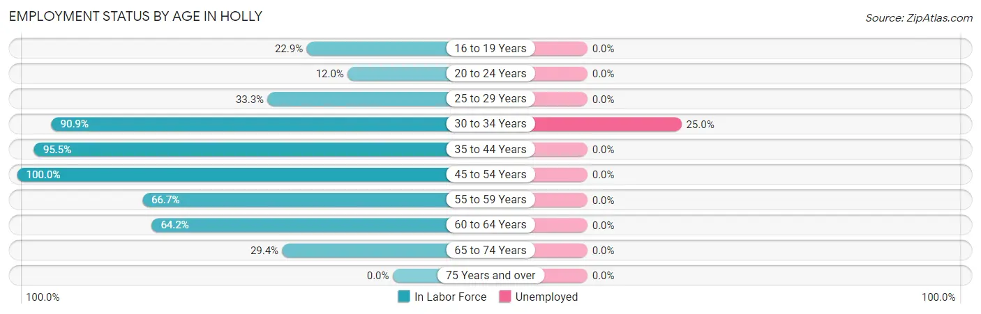 Employment Status by Age in Holly
