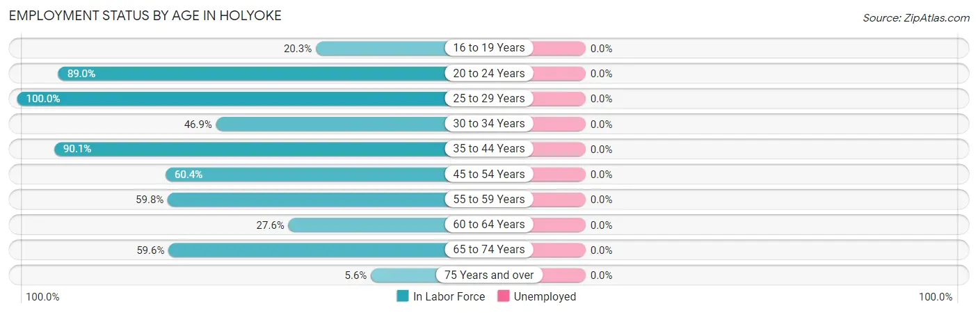 Employment Status by Age in Holyoke