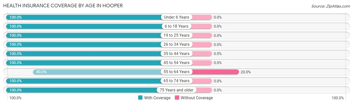 Health Insurance Coverage by Age in Hooper