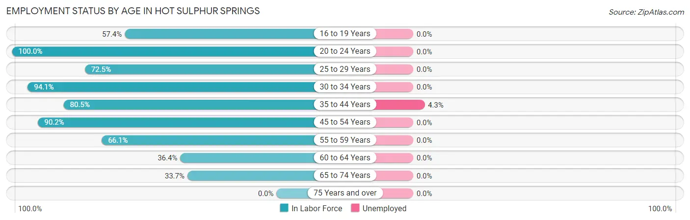 Employment Status by Age in Hot Sulphur Springs