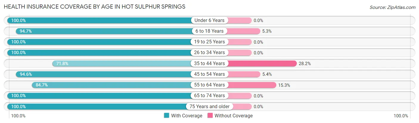 Health Insurance Coverage by Age in Hot Sulphur Springs