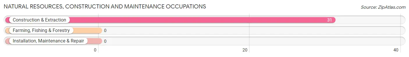 Natural Resources, Construction and Maintenance Occupations in Howard