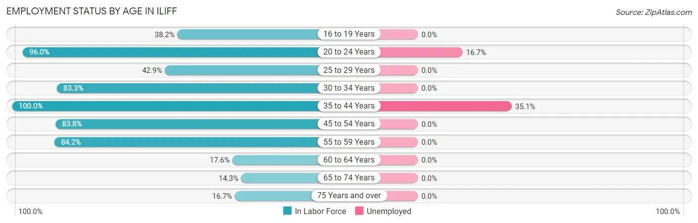 Employment Status by Age in Iliff