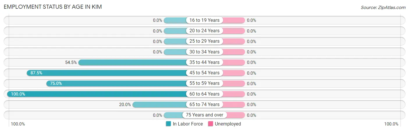 Employment Status by Age in Kim
