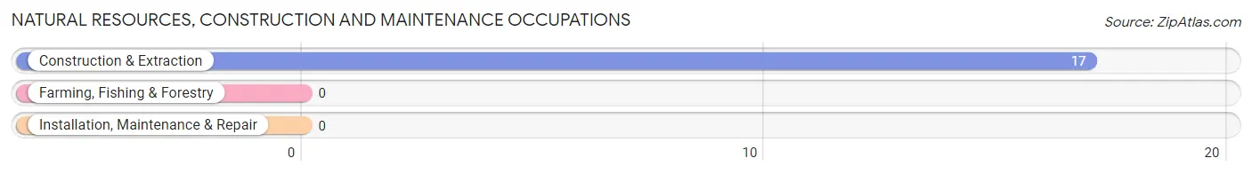 Natural Resources, Construction and Maintenance Occupations in Lake City