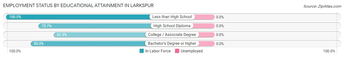 Employment Status by Educational Attainment in Larkspur