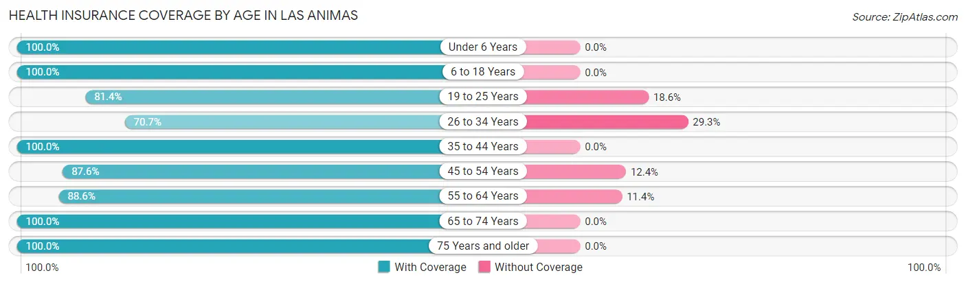 Health Insurance Coverage by Age in Las Animas