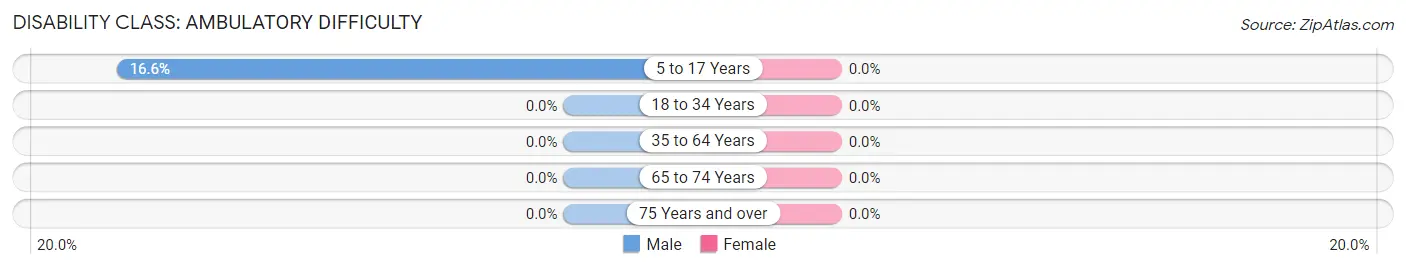 Disability in Leadville: <span>Ambulatory Difficulty</span>