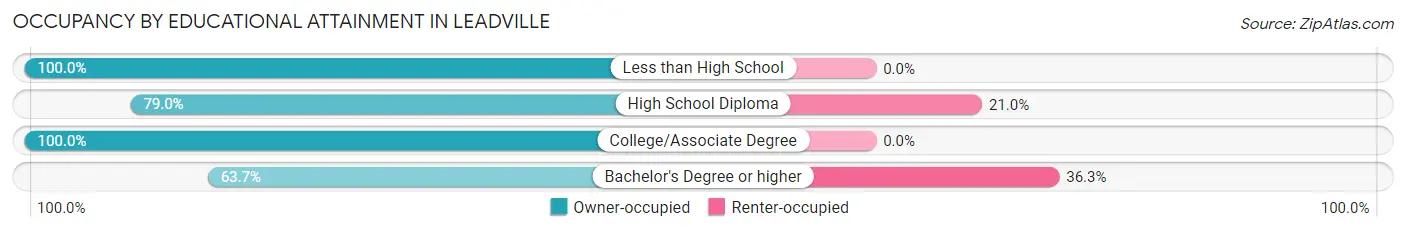 Occupancy by Educational Attainment in Leadville