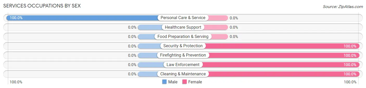Services Occupations by Sex in Leadville
