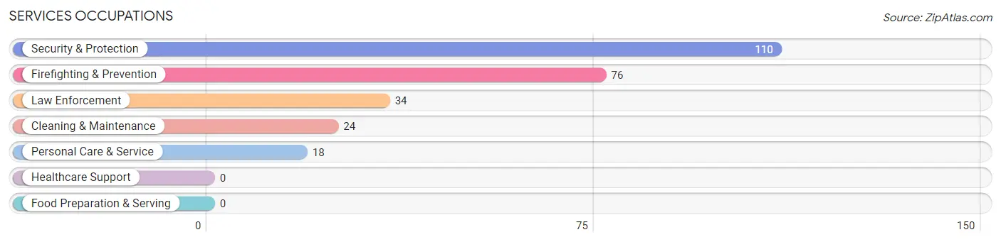 Services Occupations in Leadville