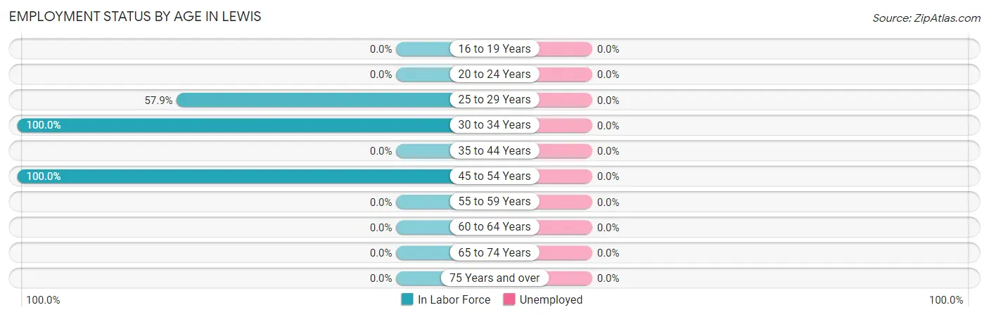 Employment Status by Age in Lewis