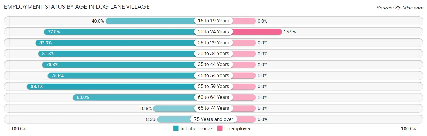 Employment Status by Age in Log Lane Village