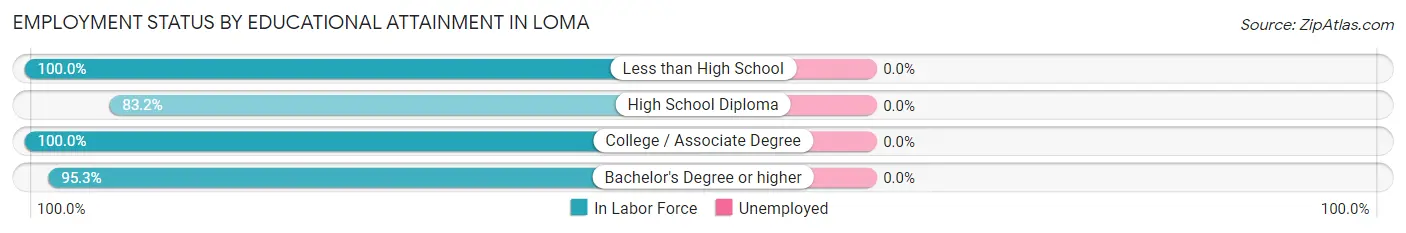 Employment Status by Educational Attainment in Loma
