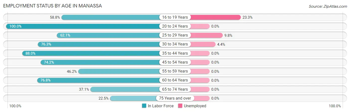 Employment Status by Age in Manassa