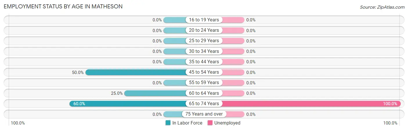 Employment Status by Age in Matheson