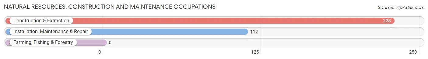 Natural Resources, Construction and Maintenance Occupations in Mead