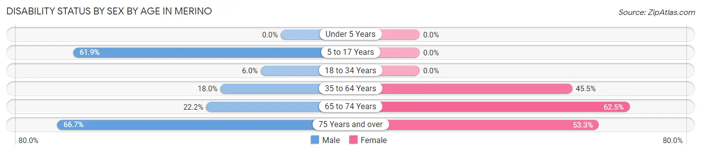 Disability Status by Sex by Age in Merino