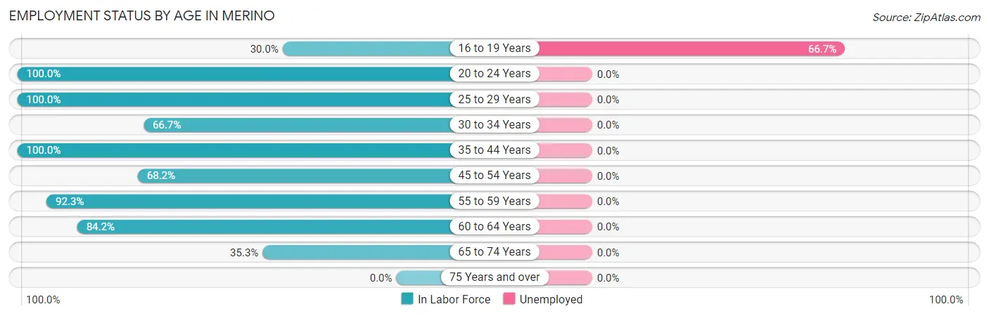 Employment Status by Age in Merino