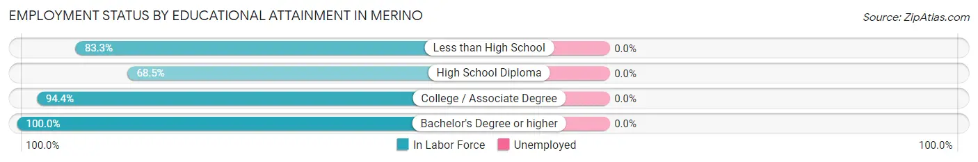 Employment Status by Educational Attainment in Merino